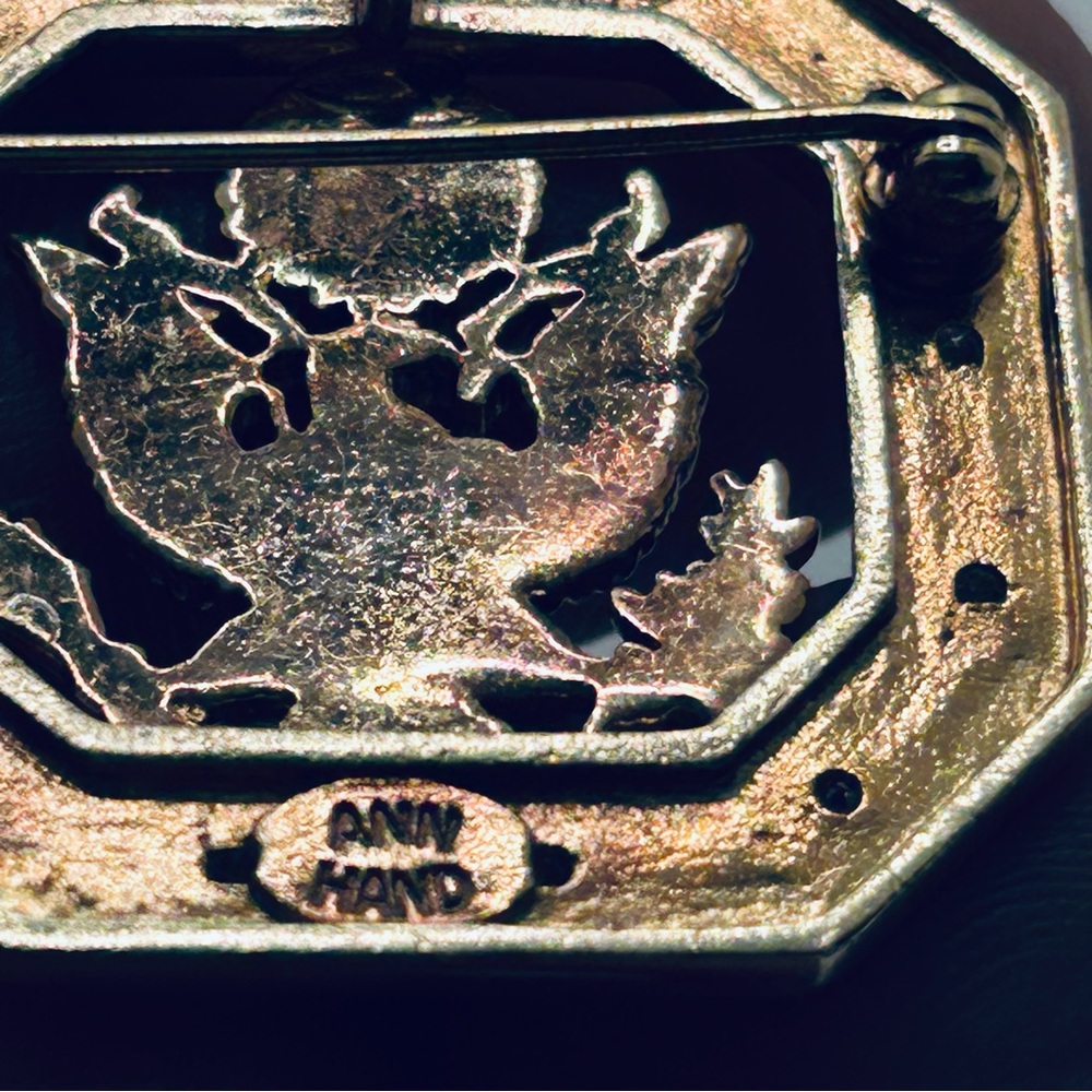Ann Hand Congressional Golden Eagle and Stars Political Brooch Pendant Combo - Picture 6 of 11